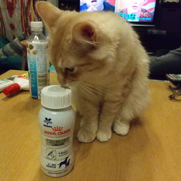 E9d8dbb5 b802 4f40 b6d7 46be2123cfea 1614339863069