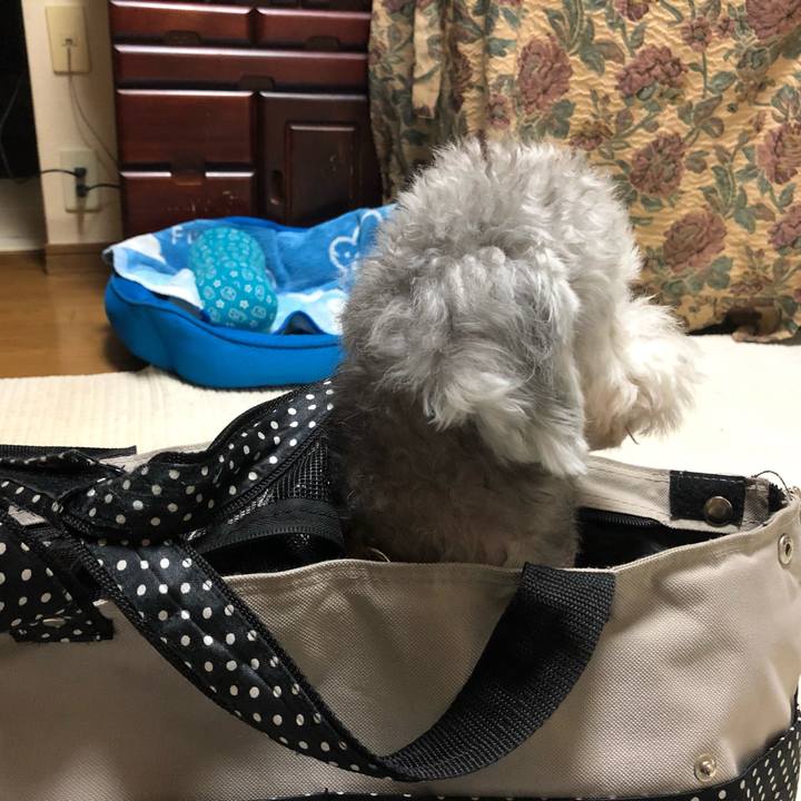 E9d8ddf4 abd2 4182 a9b9 eed99f7f9c57 1568074115392