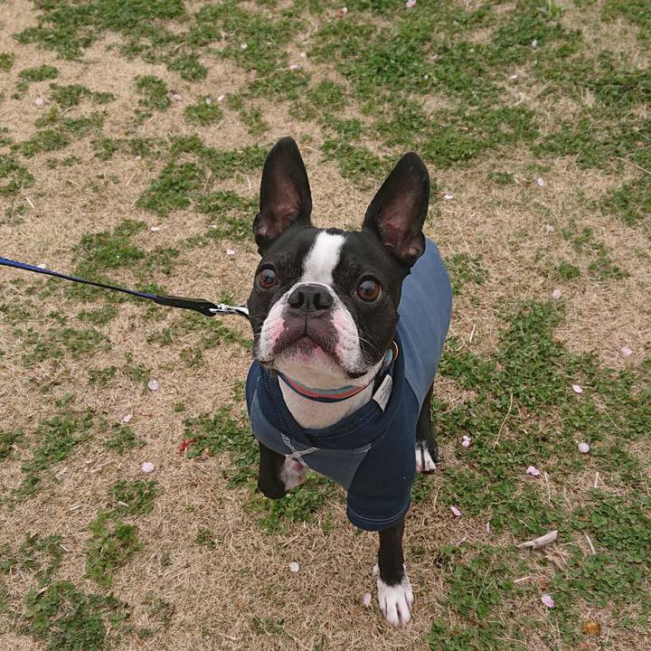 E9d94f29 5f7c 4309 b0ec ce765ba1c289 1650029762143