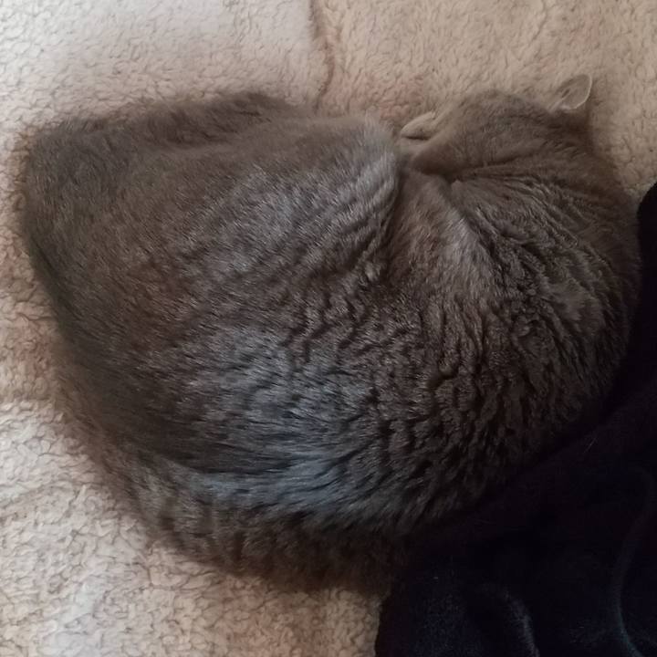 E9d94fe1 a1f6 45bc b082 b8c92666c33b 1644884178852