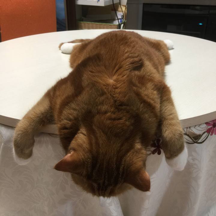 E9d966c9 11ae 4649 95de a4c9e2a51770 1597240356155