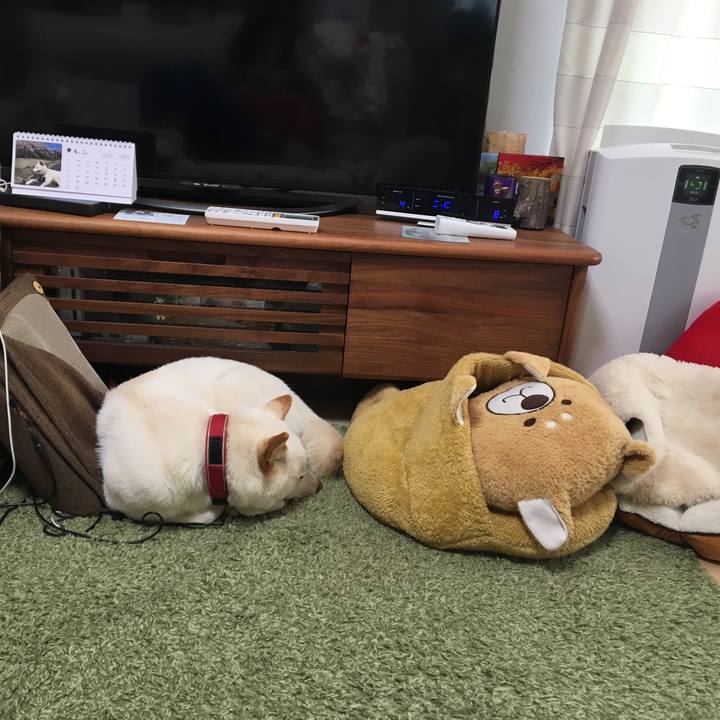 E9d966e8 f6e1 451a 8ba1 d6237eb952fb 1523433590814