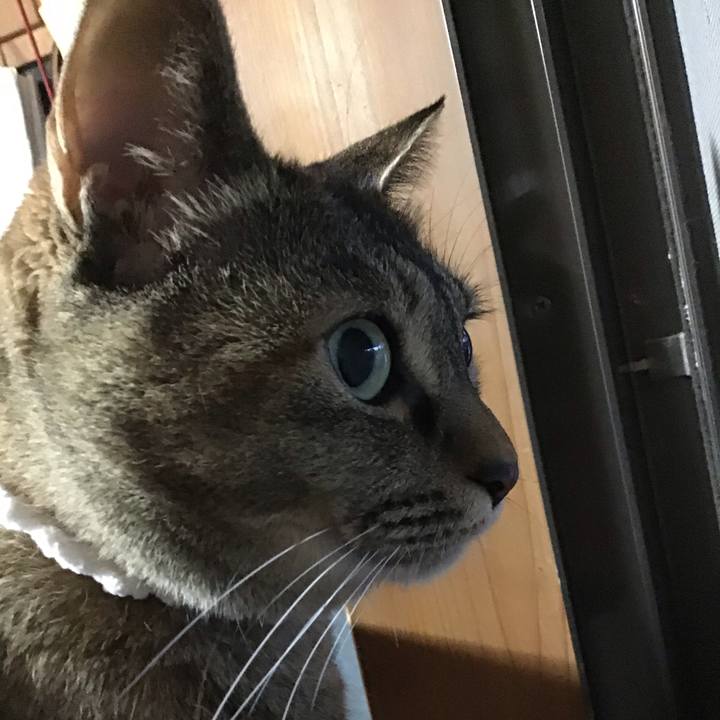 E9d97b9b b6bc 468e b550 369bb13f623f 1686227906124