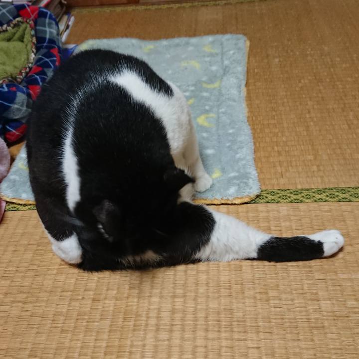 E9d97ebb 5fb5 4664 8c05 5b159969b0dc 1541464528844