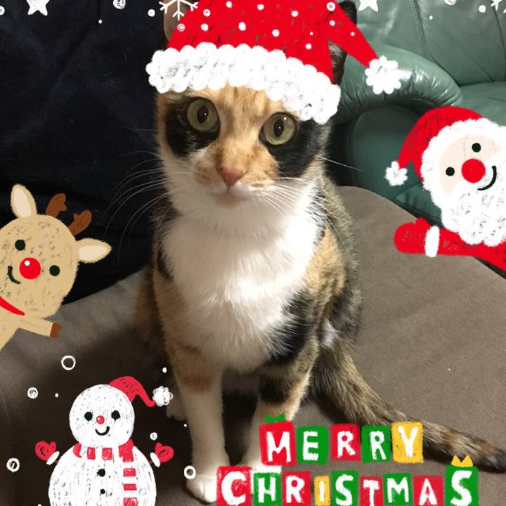 E9d984a9 051a 4f23 92b3 5a67317ca463 1513778891239