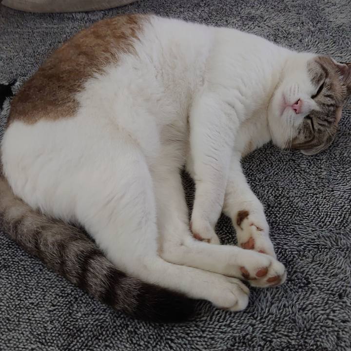 E9d9933d f365 494f 878f fea4fe291142 1631360775129