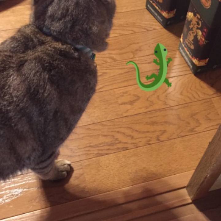 E9d9a31e e3dd 4b16 b9d4 3f60c80c70c1 1522797336035