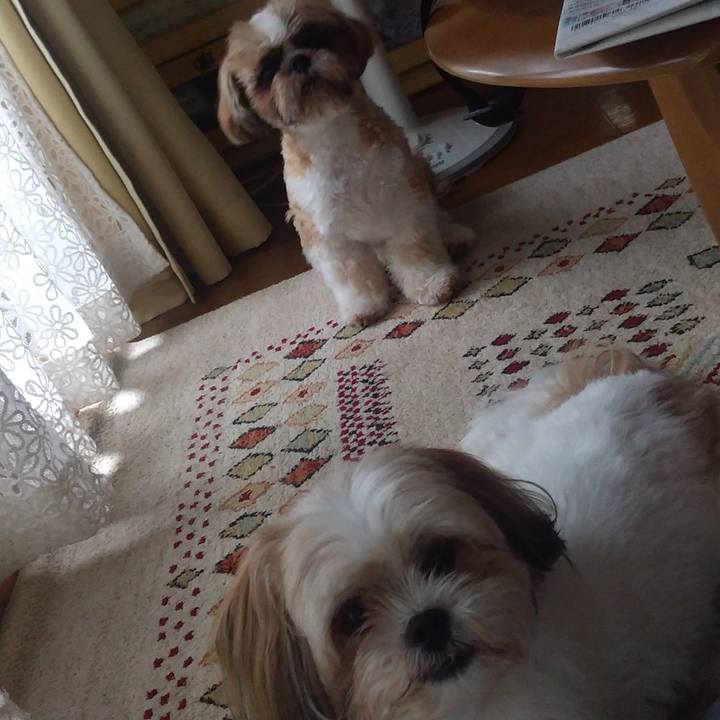 E9d9d584 0d81 4dd0 9ad8 a15c14ebd08c 1594163162817