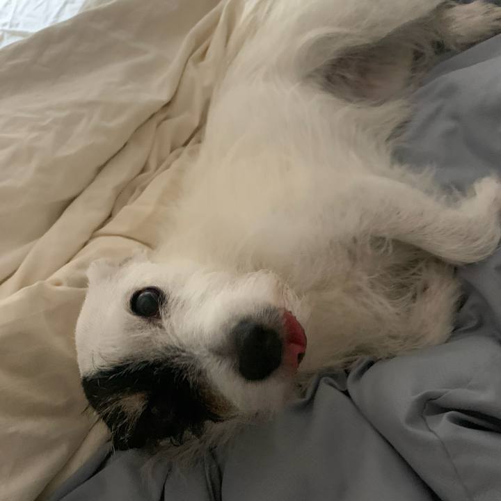 E9d9ef67 32c8 455b 9eb8 43b07f3bf337 1756392200342