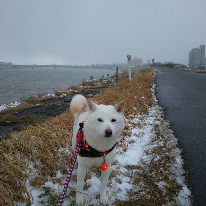 E9da0432 b927 4e83 a45e 412e0416ec97 1613550632370