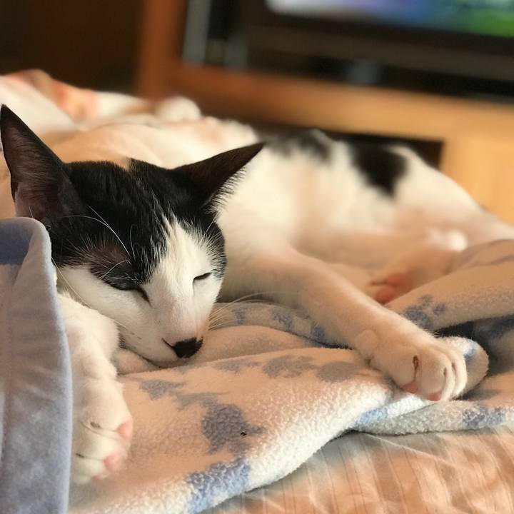 E9da056e 5a2b 4e19 8f0f ec8bfca2be40 1540082016705