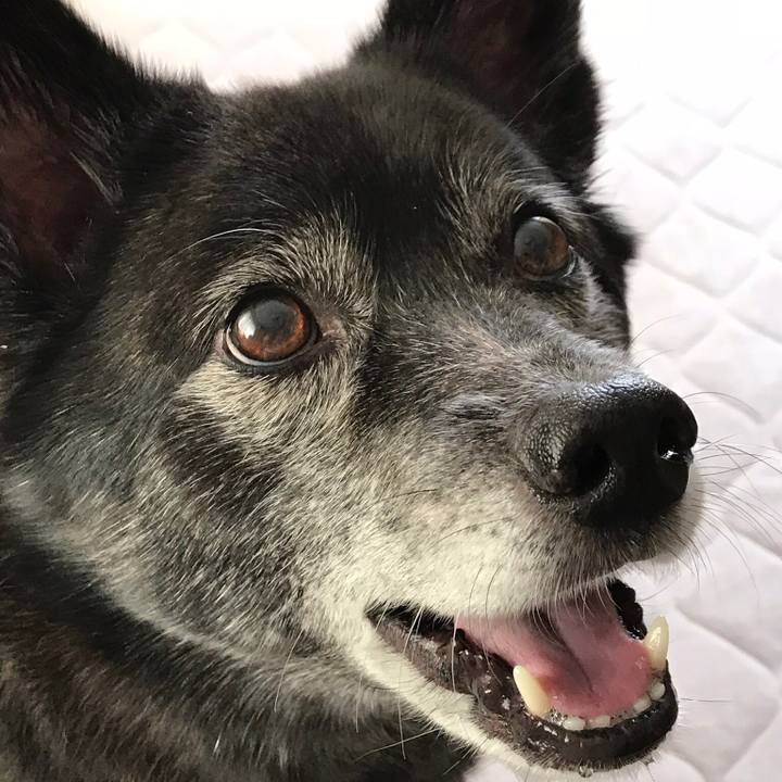 E9da107a 1c53 400f 8288 b0d7bf0bddd0 1527764696788