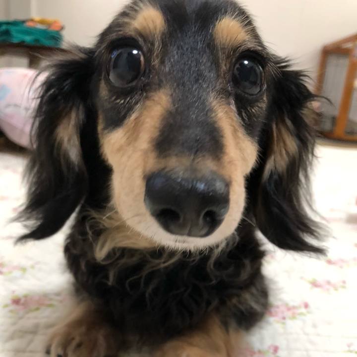 E9da1606 6ca4 4d63 8353 af3354f7d658 1562298005902