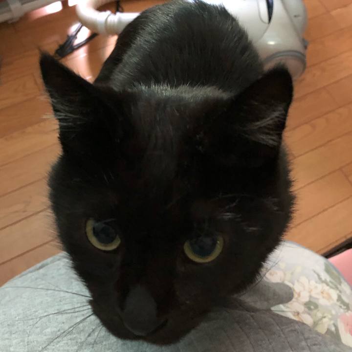 E9da1985 3156 4123 91ab 13407aa0db1a 1566455231131