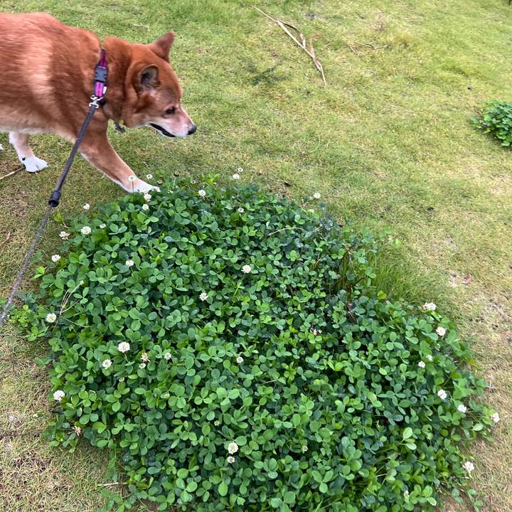 E9da3d4d 4649 4798 b9bb aa2e07dd522d 1761384271905