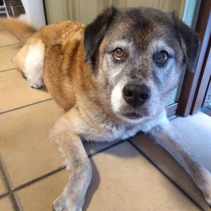 E9da50c4 95ca 44ef 8b27 e8a44929c4b2 1566980322707