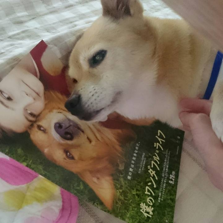 E9da8a39 8d24 4d02 952e d5ae066a0662 1568989913914