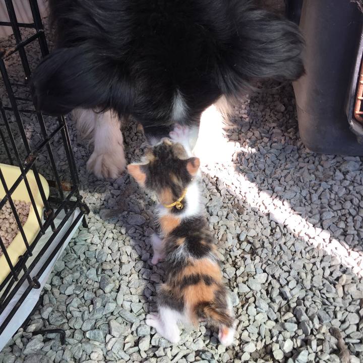 E9dacc45 22b0 4979 9c0d 5a528c9133df 1568509351274