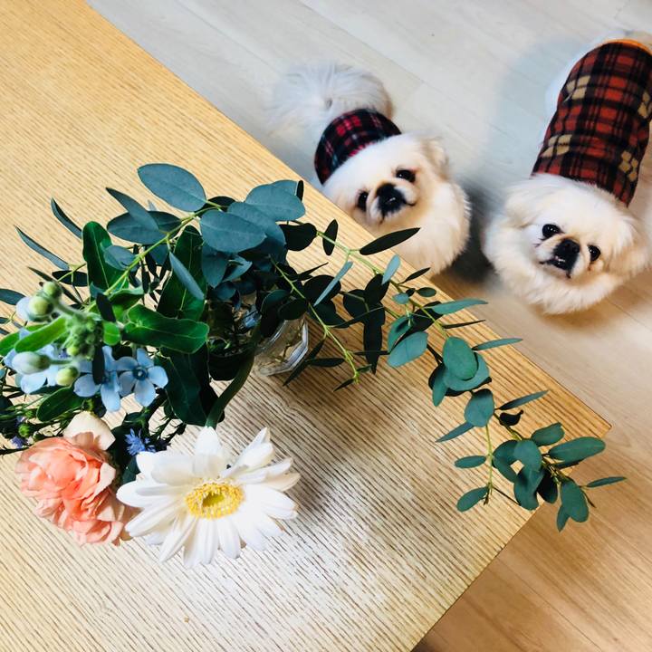 E9db0181 70d3 4edb 9d0a 9bba60b828bd 1573377914438