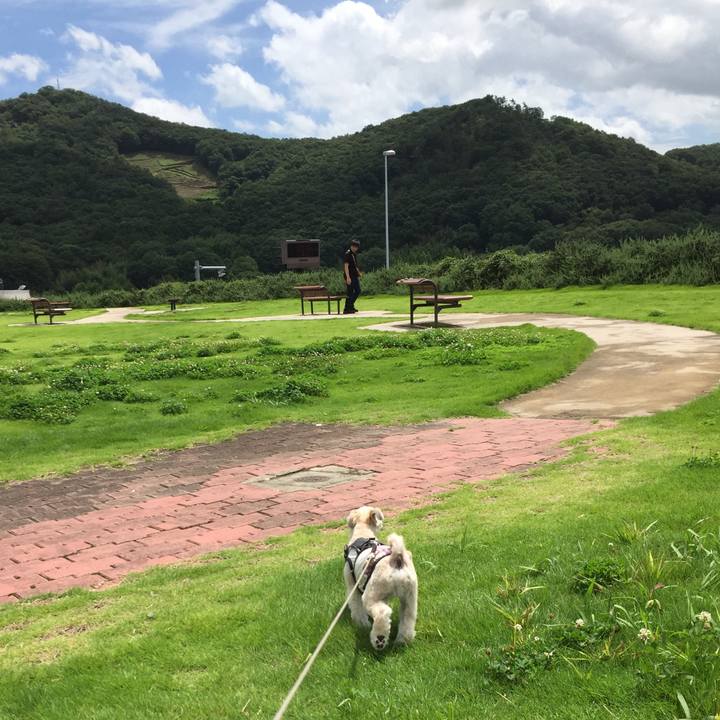 E9db7150 221c 4c5a b798 96ea8105d90b 1564206714895