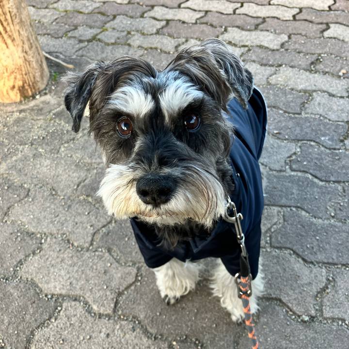 E9db9d56 df30 474d b3cd 1b9a169a57e4 1771625034162