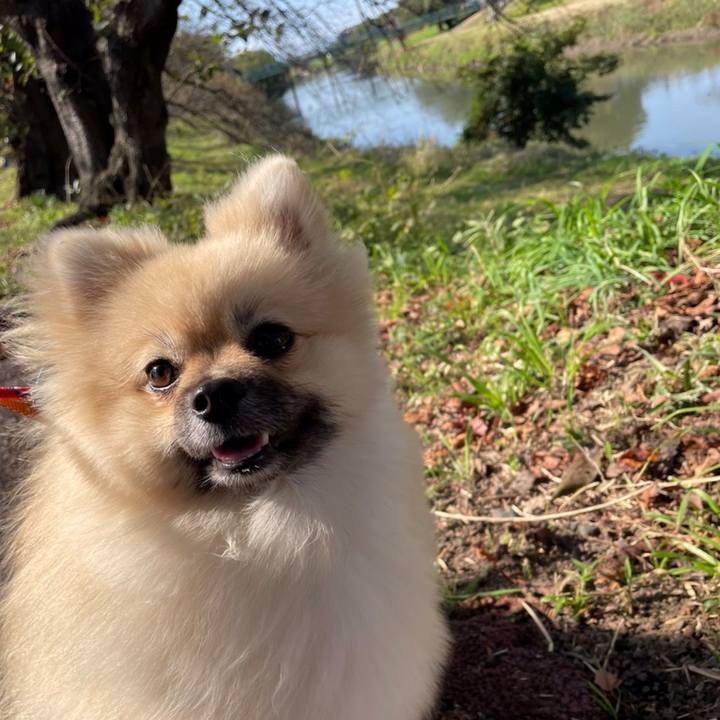 E9dba100 d7fc 47be 9852 9e1bd8e17543 1635943160734