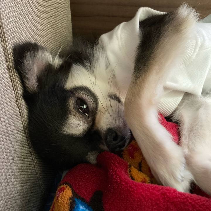 E9dbb5f9 23ec 4d0b a303 6d9cb3a198d7 1670753933263