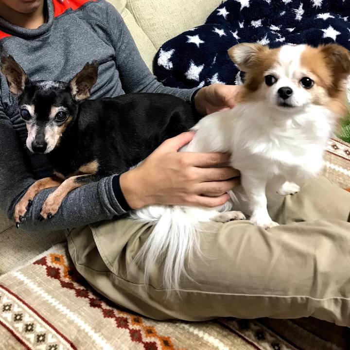 E9dbe8f8 5d2d 4d0c 8424 040804506577 1577703689731