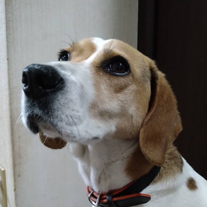 E9dc0b71 4c49 4790 a7ca f63910c7a6fc 1625399104614