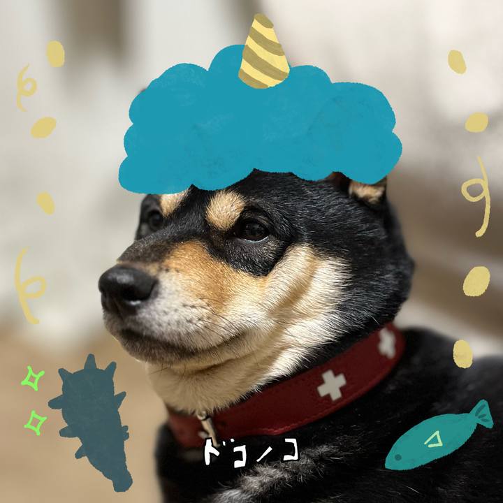 E9dc0e51 7d77 4db5 8899 0bf479992f45 1706969201614