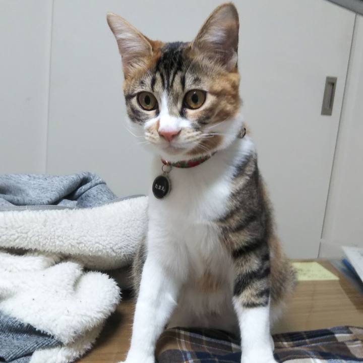 E9dc6d42 e28e 48b0 9053 54c4287a7a0b 1639600460410