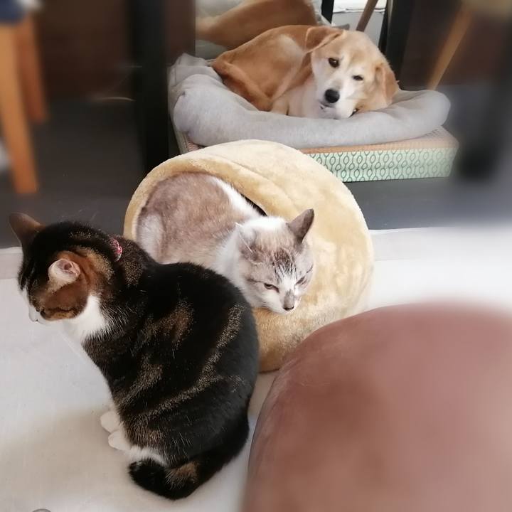 E9dc79ef d21b 46fa a74c 897a669d4a3c 1636844838153