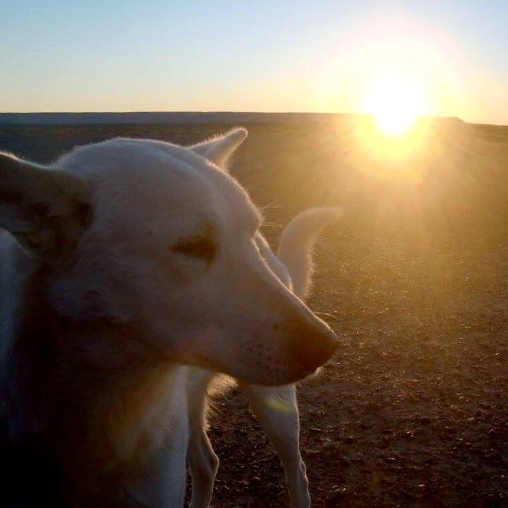 E9dd0251 b1d7 44f9 a44b 9515fa6c3994 1519034943408