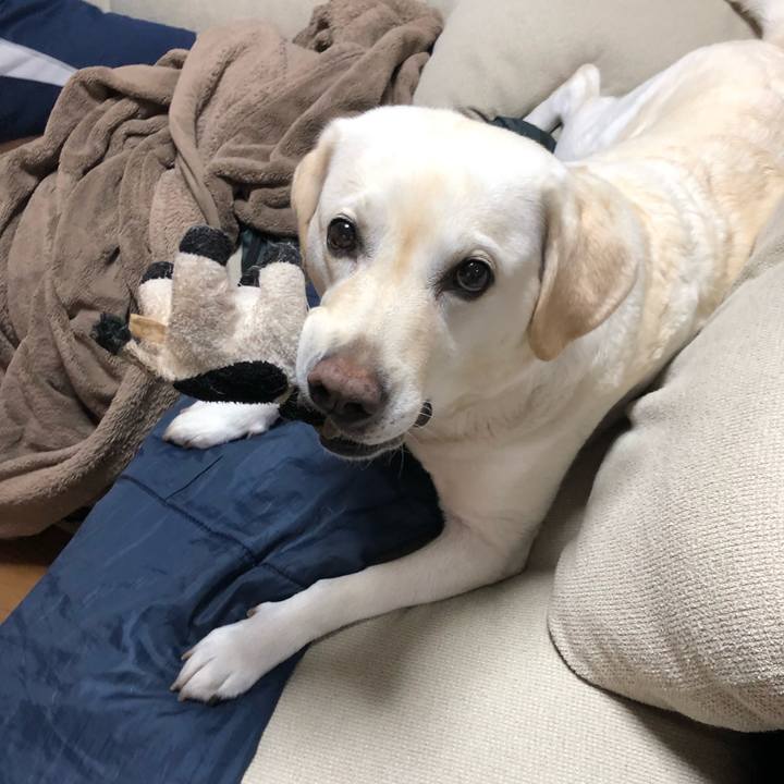 E9dd047f b49e 4881 856f 38a22942e4ed 1651482590026