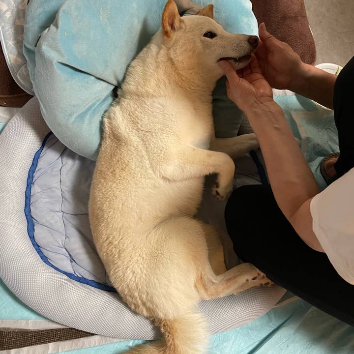 E9dd077e c48d 47c1 a36e 40a4a23e95d9 1654404747210