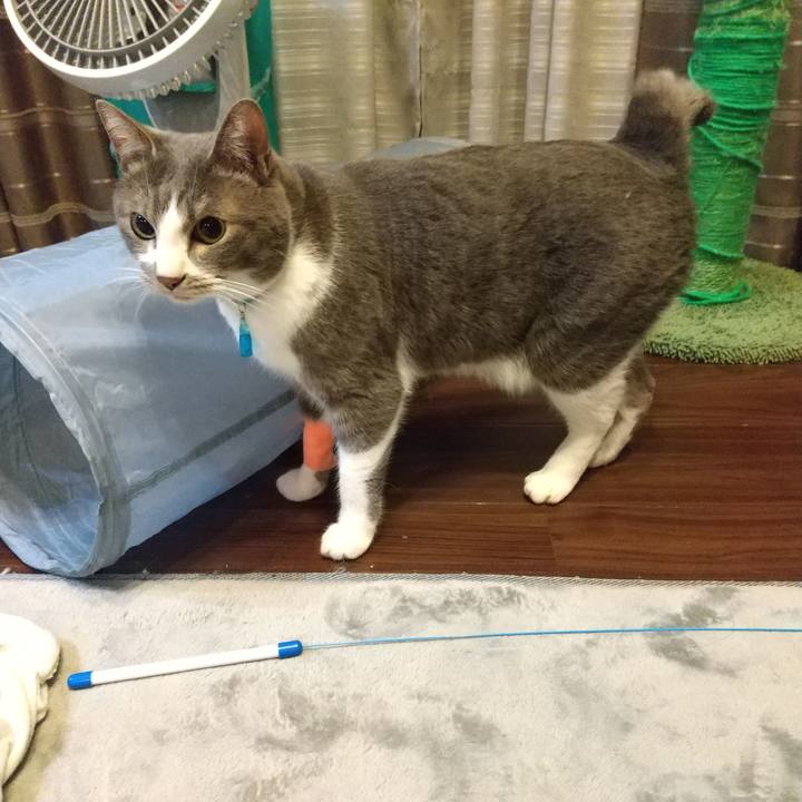 E9dd1476 3e36 47da b31e 4cb01c37d674 1648051381724