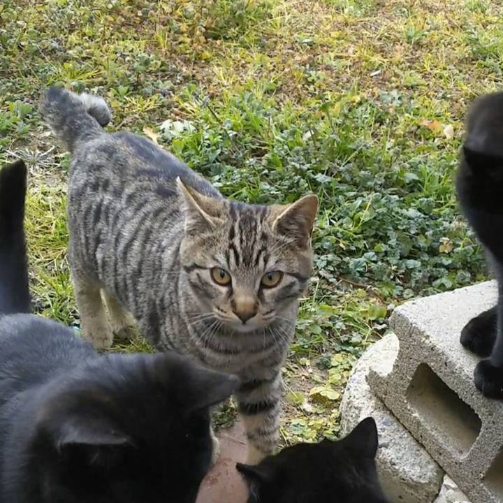 E9dd1993 53e0 4684 bfba eb09f62d0540 1556253029327