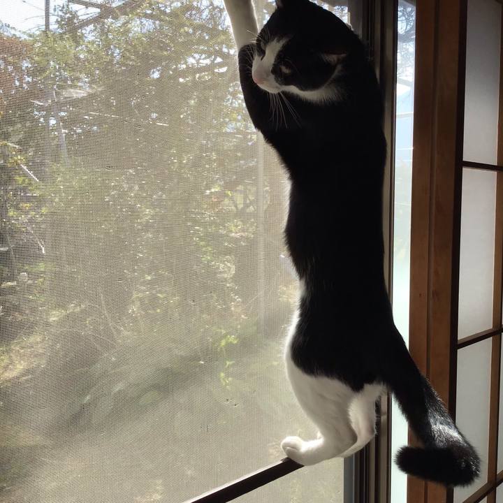 E9dd33ff c596 4650 8d02 205b5adb5864 1633309248899