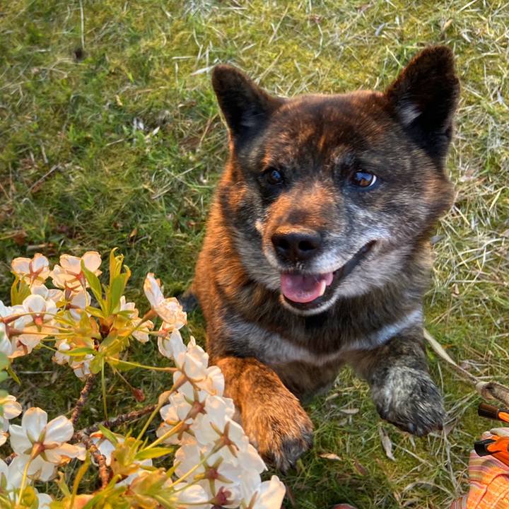 E9dd3c8f 9208 44c5 940e 5ac7204c4924 1586252820260