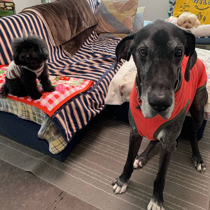 E9dd6a6d d6cc 4b01 9389 3095ae2c9e18 1588199627666