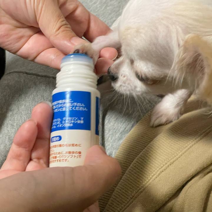 E9dd8038 2548 4d4c 8c8d dbae30e3616e 1673435494299