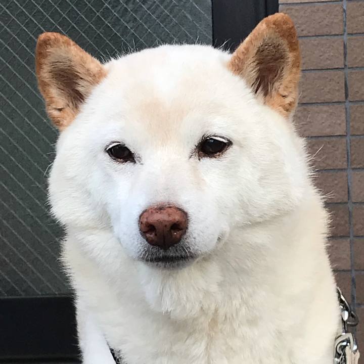 E9ddb12c b1fb 47c0 8733 0c4cc9f64602 1634311090410