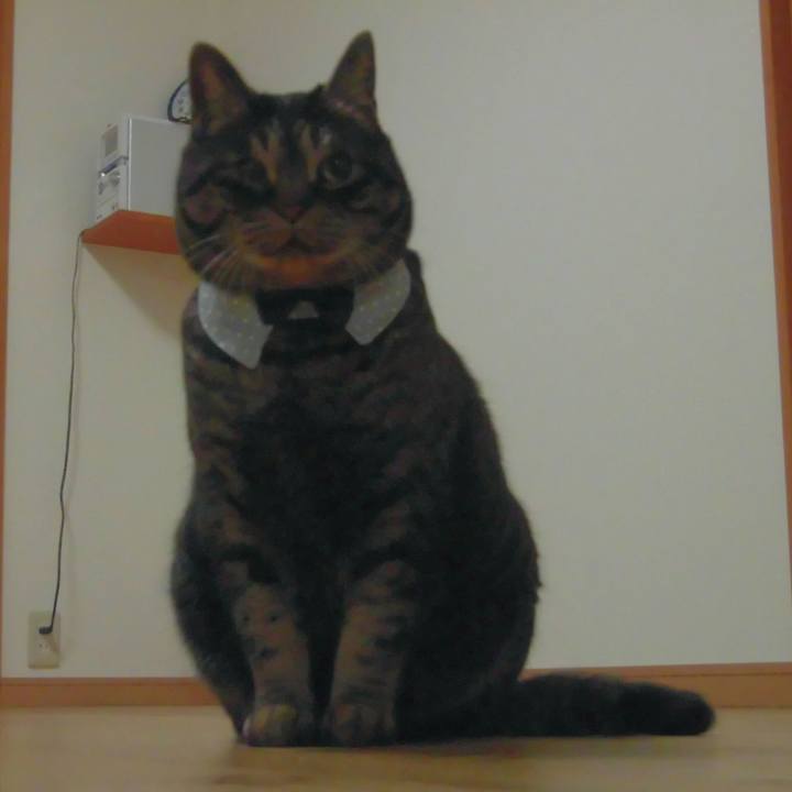 E9dde3ea 076e 4956 8d34 80bb836373d1 1513339598973