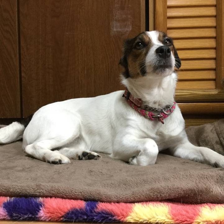 E9ddee23 e942 4ed9 9590 57369ca3597b 1523758910848