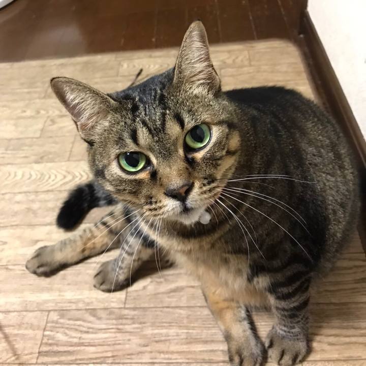 E9de041c 315a 41a7 8fb6 9b8fca797331 1634046455552