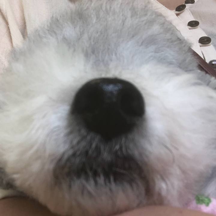 E9de0c9e 5e0b 429d 840f cf56fed75290 1745799431211