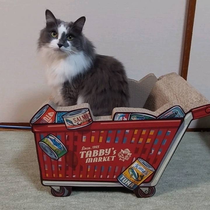 E9de4a0b dfa7 4d04 8937 e1d430137e76 1642668637069