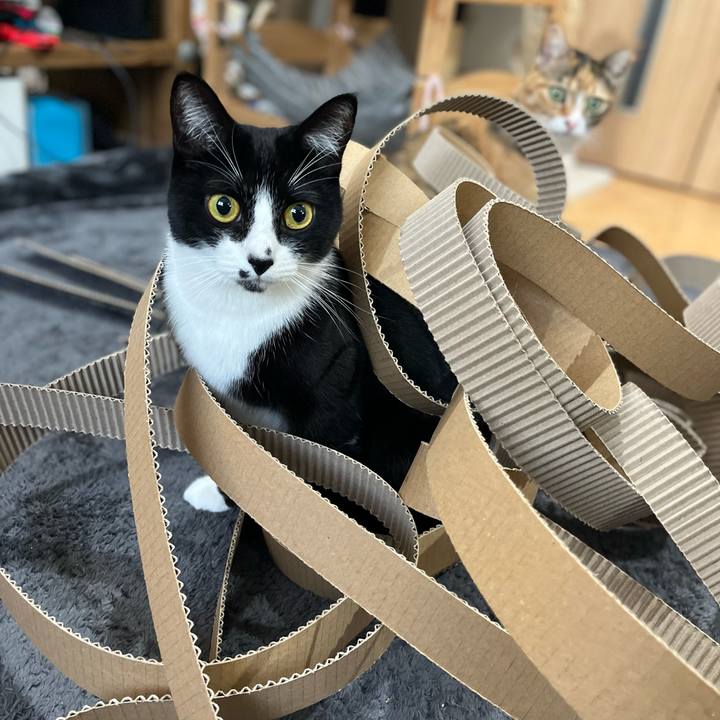 E9de69c4 e60b 4eb0 a5e9 5515615e47c7 1673263709420