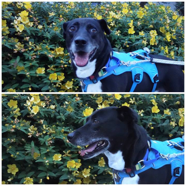 E9de6b9d 23ee 4080 8ccc 4446997fc9c5 1685270177070