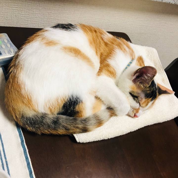 E9de8ff4 afe2 4e22 a635 46be17ddccd8 1565526227840